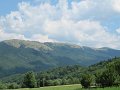 IMG_2239