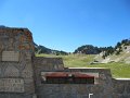 IMG_2261