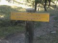 DSC07772