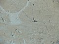 DSC07794