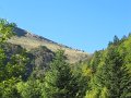 IMG_2887