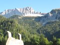 IMG_2890