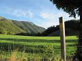 IMG_2987