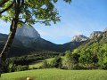 IMG_2989