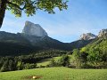 IMG_2990