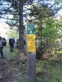 IMG_2992