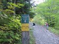 IMG_2994