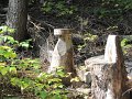 IMG_2995