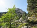IMG_2999