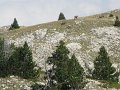 IMG_3005