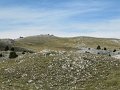 IMG_3008