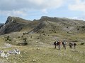 IMG_3010