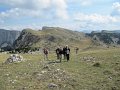 IMG_3011