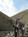 IMG_3017
