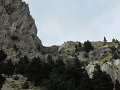 IMG_3020