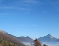 IMG_3169
