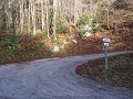IMG_3378