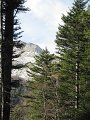 IMG_3386