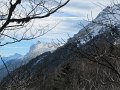 IMG_3387
