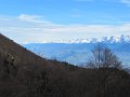 IMG_3401
