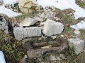 IMG_3406