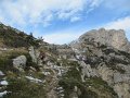 IMG_3410