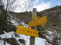 IMG_3419