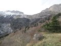 IMG_3423