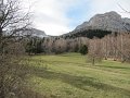 IMG_3425
