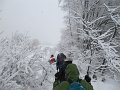 IMG_3536
