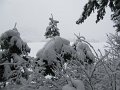 IMG_3537