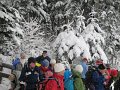 IMG_3541