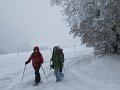 IMG_3546