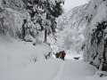 IMG_3554