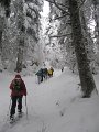 IMG_3555