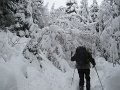 IMG_3557