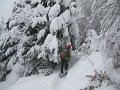 IMG_3559
