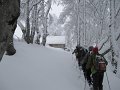 IMG_3560