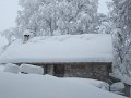 IMG_3561