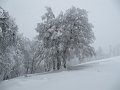IMG_3587
