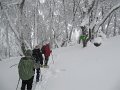 IMG_3592