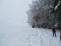 IMG_3595