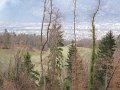 IMG_3827
