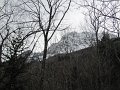 IMG_3831