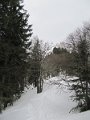 IMG_4640