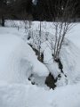 IMG_4651