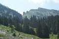 DSC00003