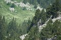 DSC00004
