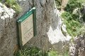 DSC00007