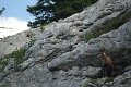 DSC00017